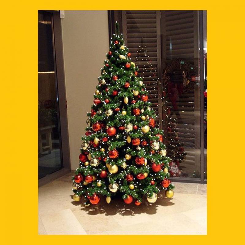  Cho Thuê Cây Thông Noel Tại Thủ Đức. Ảnh 4